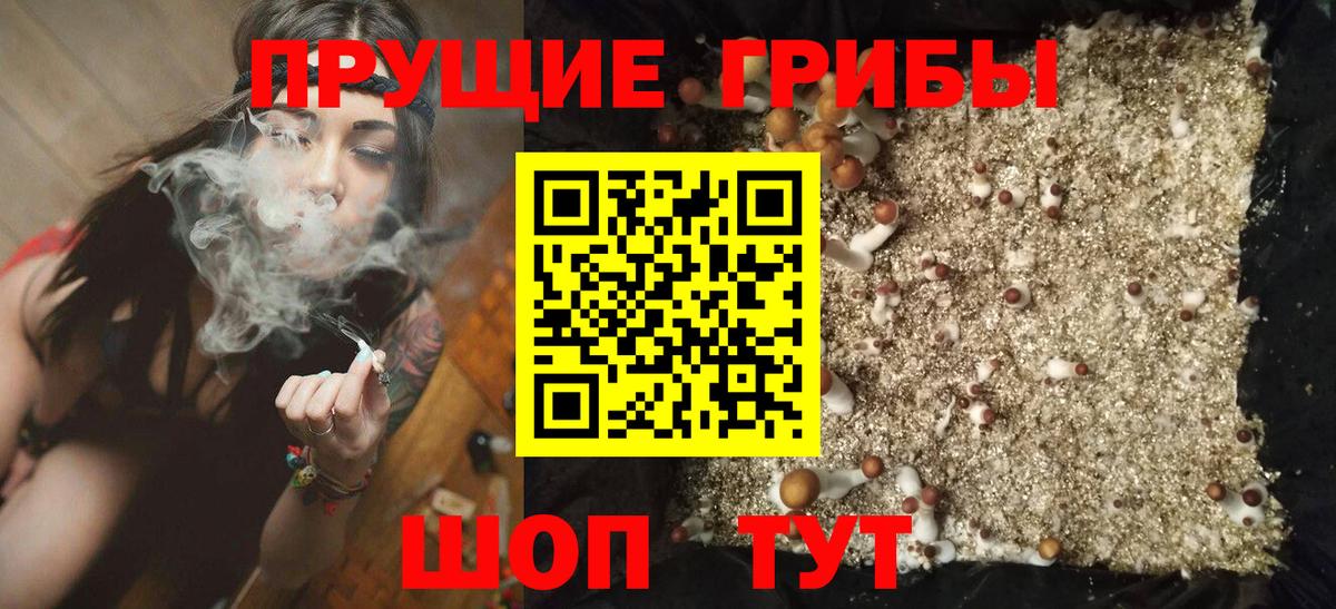 Псилоцибиновые грибы мухоморы Пыть-Ях