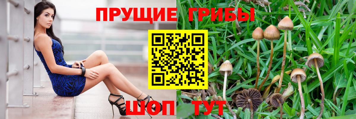 Галлюциногенные грибы мухоморы  купить закладку  Галлюциногенные грибы мицелий  Пыть-Ях  Вход с VPN 